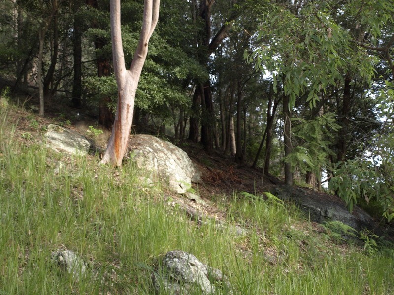 25-27 Nimala  Avenue, Koolewong NSW 2256