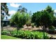 4 Sirius  Street, St Huberts Island NSW 2257