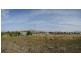 6 Roslyn Court, Brighton TAS 7030