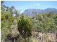 87 Ripley Road, West Moonah TAS 7009