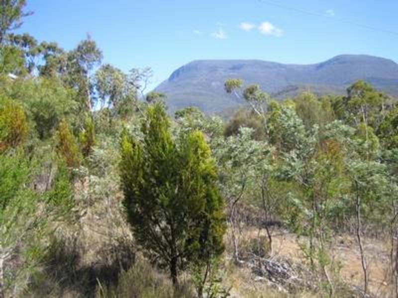 87 Ripley Road, West Moonah TAS 7009