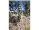87 Ripley Road, West Moonah TAS 7009