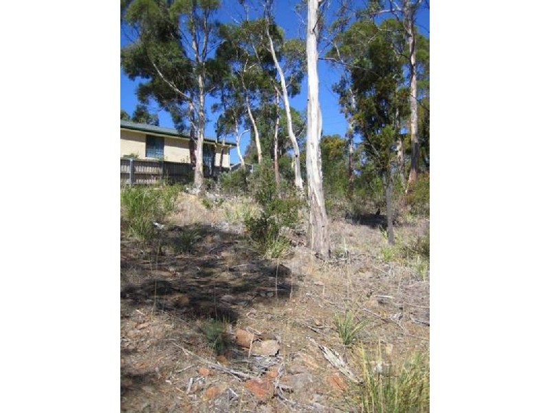 87 Ripley Road, West Moonah TAS 7009
