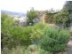 12 Wylie Crescent, West Moonah TAS 7009