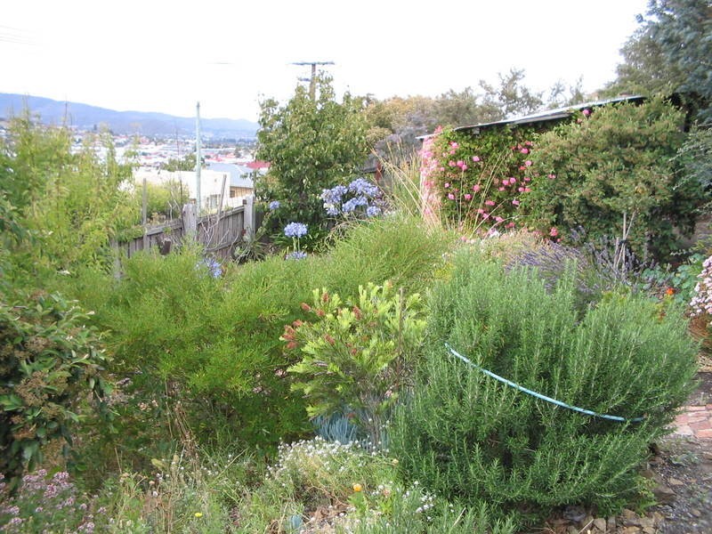 12 Wylie Crescent, West Moonah TAS 7009