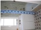 172 Cambridge Road, Warrane TAS 7018