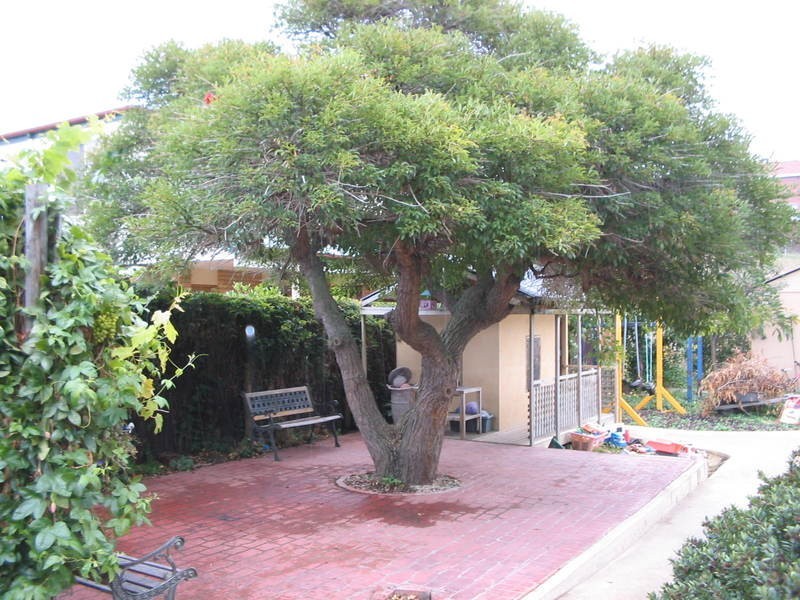 46 Forster Street, New Town TAS 7008