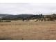 73 East Orielton Road, Orielton TAS 7172