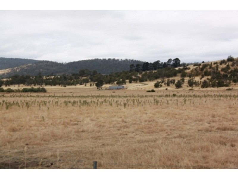 73 East Orielton Road, Orielton TAS 7172