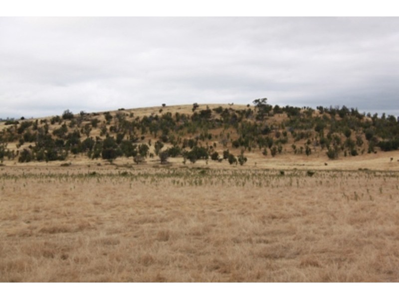 73 East Orielton Road, Orielton TAS 7172