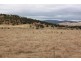 73 East Orielton Road, Orielton TAS 7172