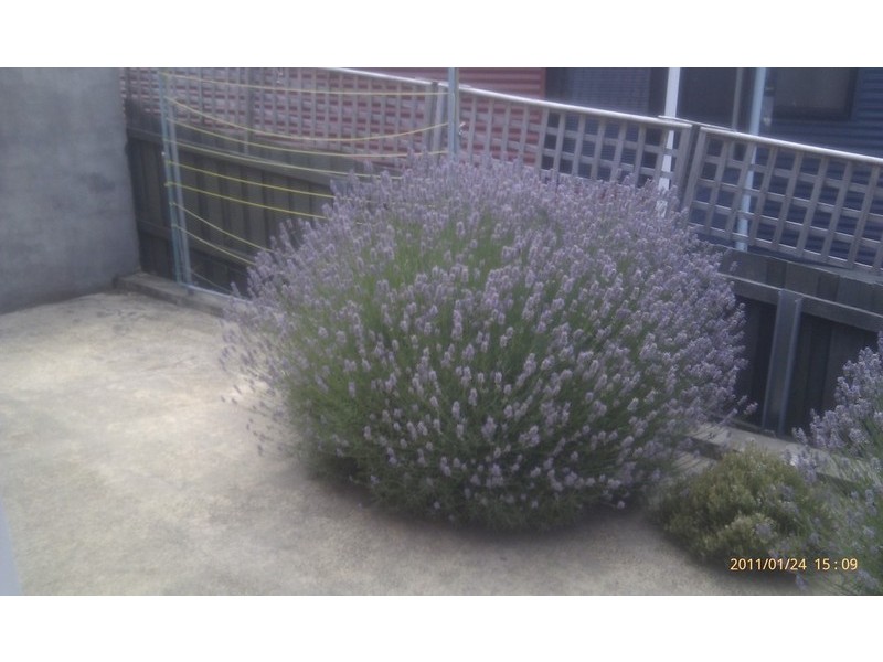 2/461 Mount Nelson Road, Mount Nelson TAS 7007