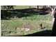 574 Kalang Avenue, Glenorchy TAS 7010