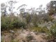 Lot 4 Lower Swamp Road, Lachlan TAS 7140
