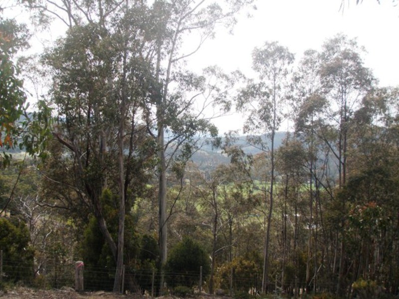 Lot 4 Lower Swamp Road, Lachlan TAS 7140