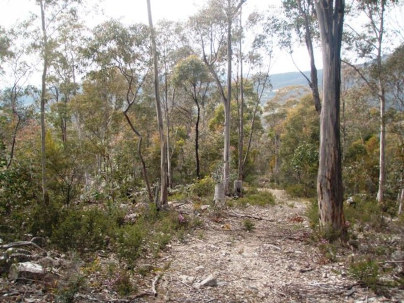 Lot 4 Lower Swamp Road, Lachlan TAS 7140