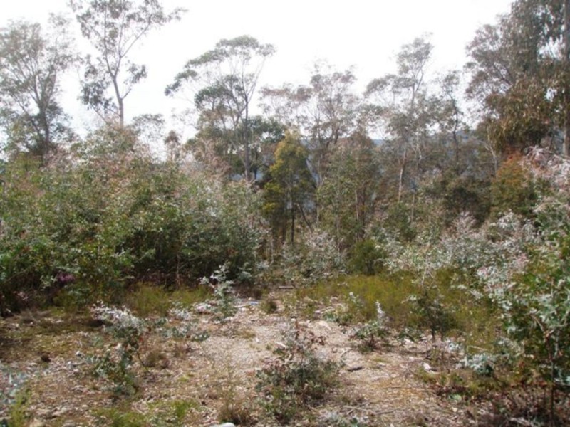 Lot 4 Lower Swamp Road, Lachlan TAS 7140