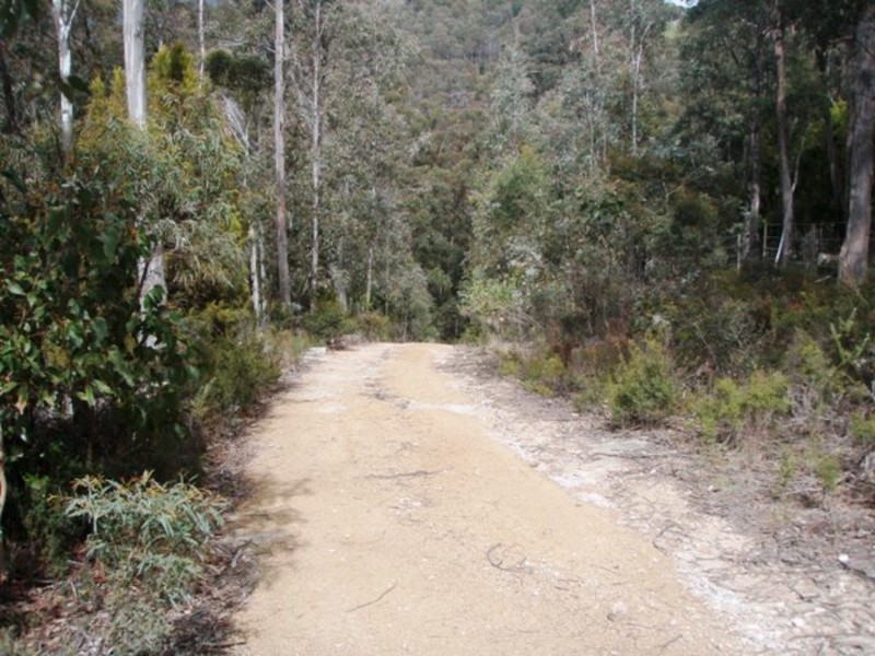 Lot 4 Lower Swamp Road, Lachlan TAS 7140