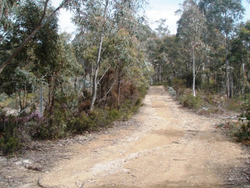 Lot 4 Lower Swamp Road, Lachlan TAS 7140