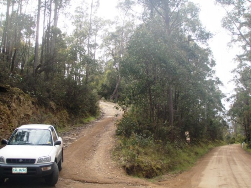 Lot 4 Lower Swamp Road, Lachlan TAS 7140