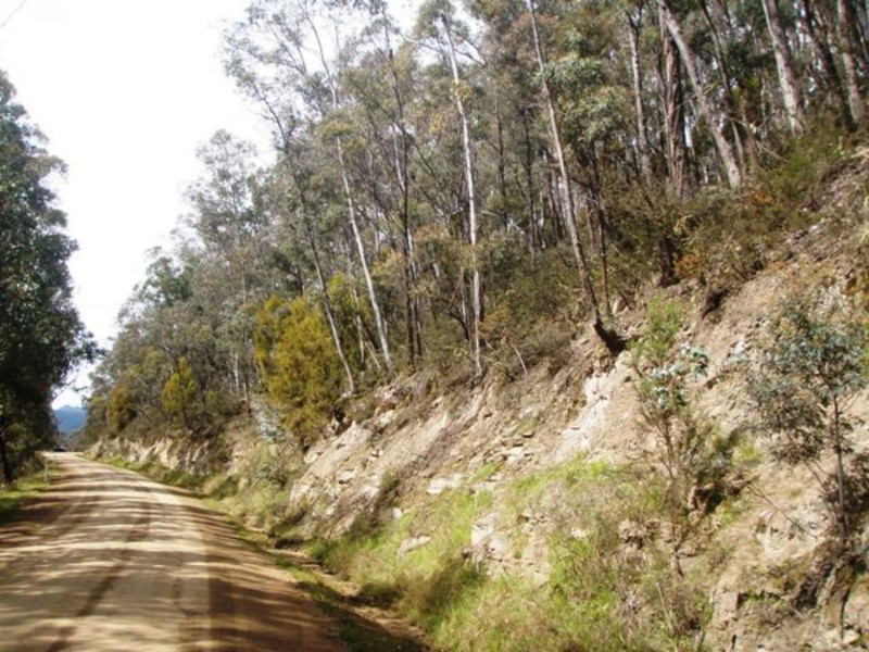 Lot 4 Lower Swamp Road, Lachlan TAS 7140