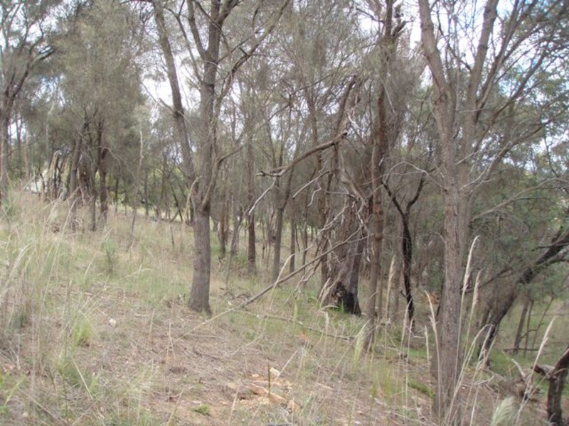 73 Upton Drive, Honeywood TAS 7017