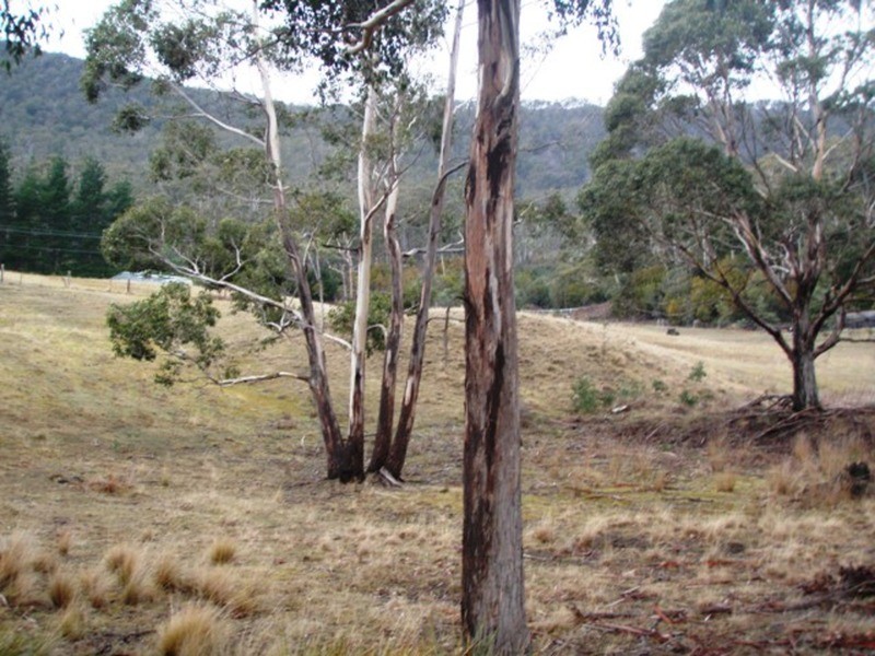 730 Molesworth Road, Molesworth TAS 7140