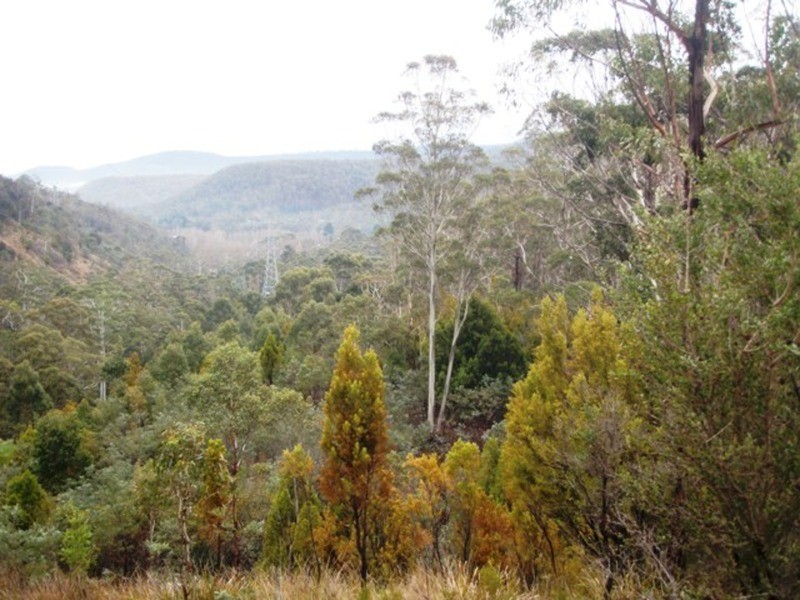 730 Molesworth Road, Molesworth TAS 7140