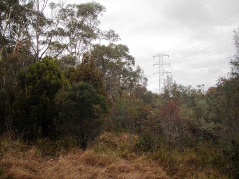 730 Molesworth Road, Molesworth TAS 7140