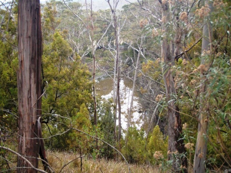 730 Molesworth Road, Molesworth TAS 7140