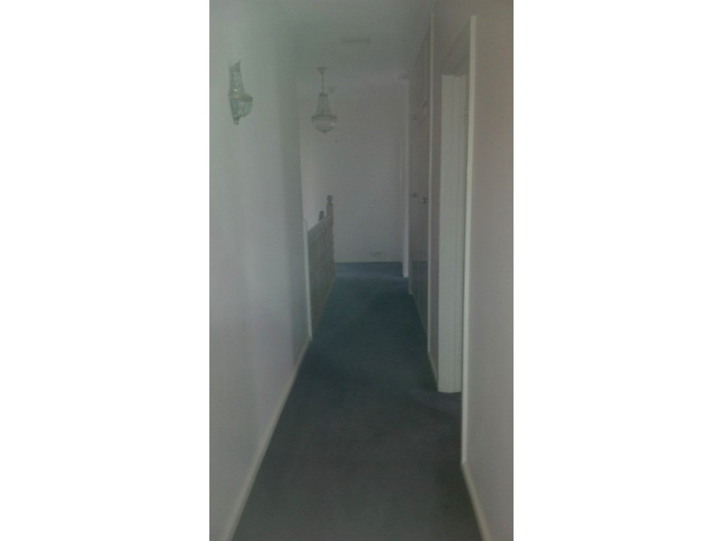 14 Coolabah Road, Sandy Bay TAS 7005