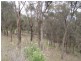 73 Upton Drive, Honeywood TAS 7017
