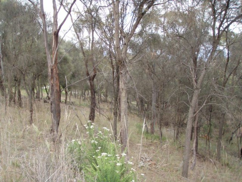 73 Upton Drive, Honeywood TAS 7017