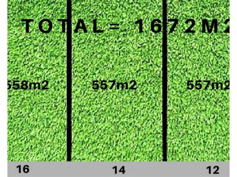 12,14&16 Ebdale Street, Frankston VIC 3199