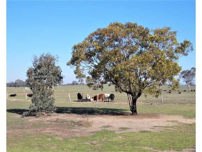 15  Burrnett Court, Heyfield VIC 3858