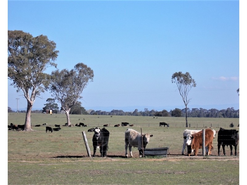 15  Burrnett Court, Heyfield VIC 3858