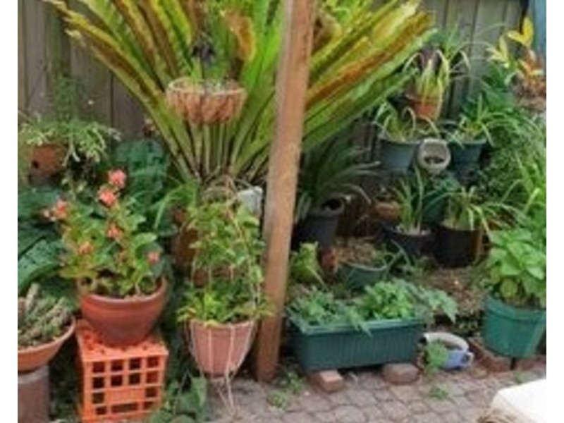 12 Onkara Street, Frankston VIC 3199