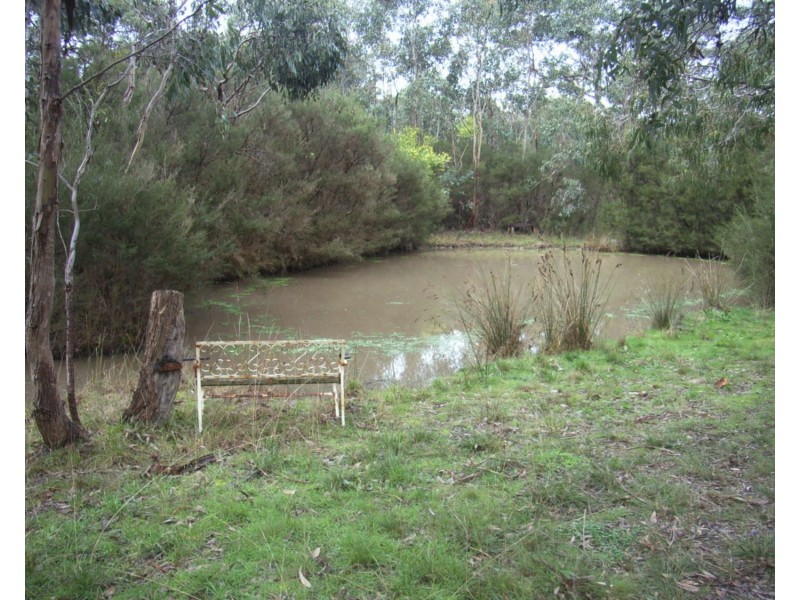 10 Altarnun Road, Langwarrin VIC 3910