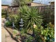 6 Barclay Avenue, Frankston VIC 3199