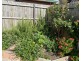 6 Barclay Avenue, Frankston VIC 3199