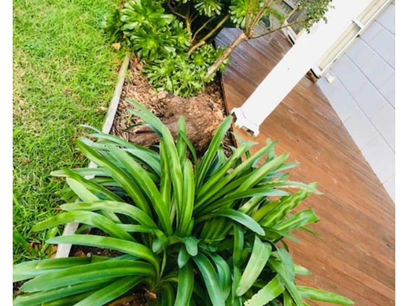 13 Neville Avenue, Seaford VIC 3198