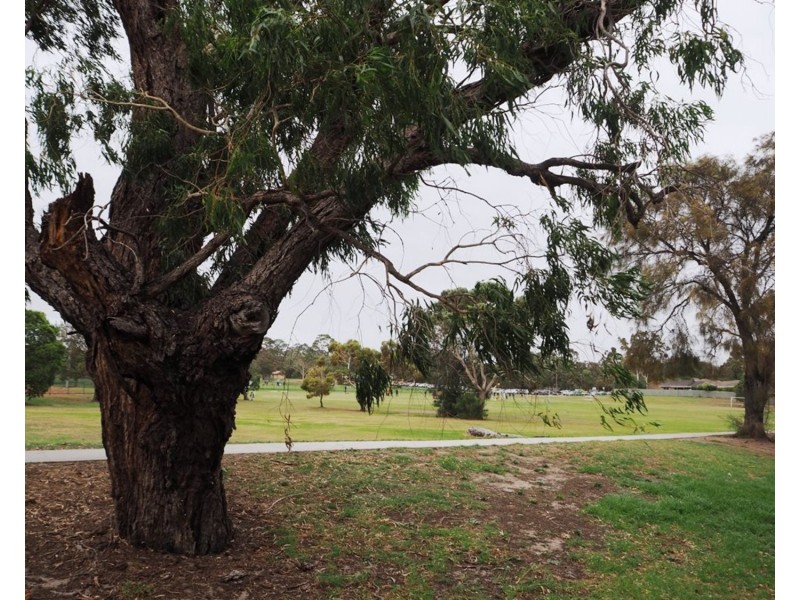 83 Belar Avenue, Frankston VIC 3199