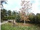 176 Baxter-tooradin Road, Baxter VIC 3911