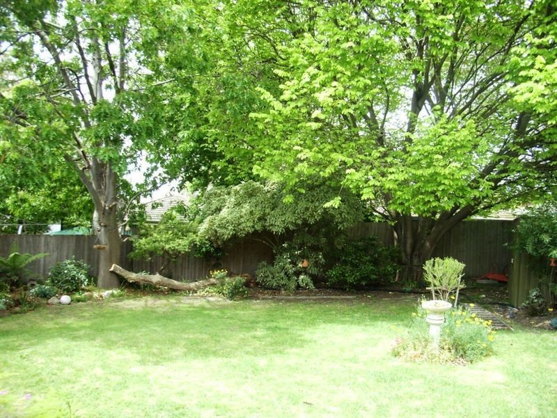 19 Lindrum Road, Frankston VIC 3199