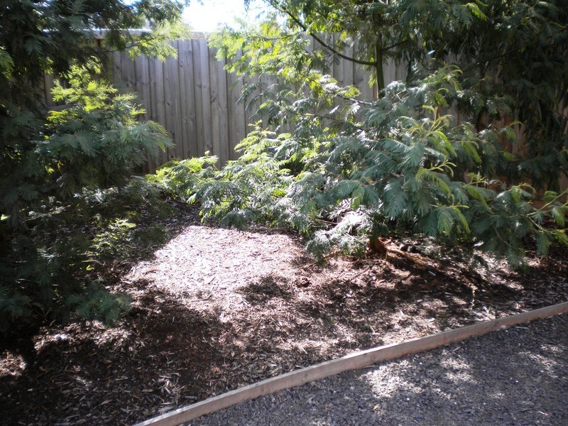 3/1-9 Green Island Avenue, Mount Martha VIC 3934