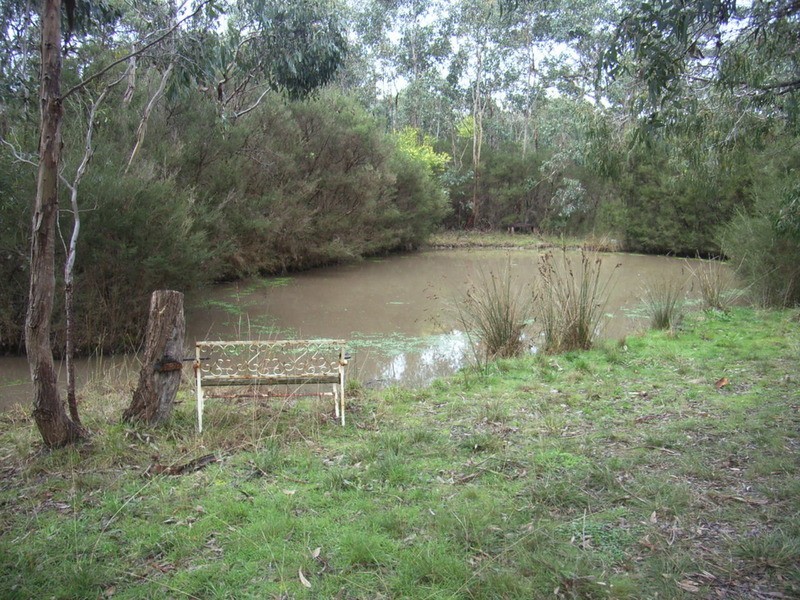 10 Altarnun Road, Langwarrin VIC 3910