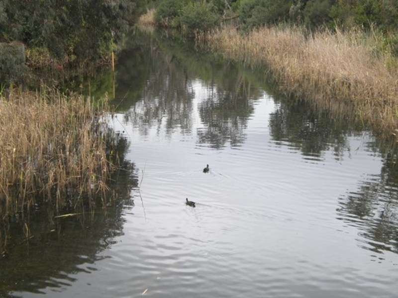 5/9 Beach Street, Frankston VIC 3199