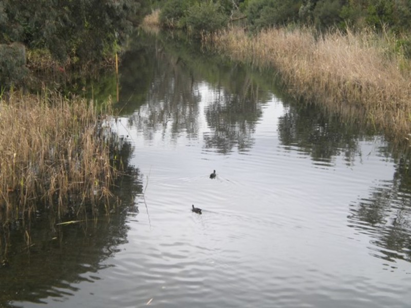 36/9 Beach Street, Frankston VIC 3199