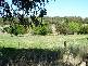 Bathurst NSW 2795
