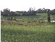 Bathurst NSW 2795